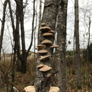 Meet your Posher, Patti